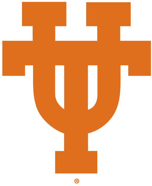 Texas Longhorns 0-Pres Alternate Logo v2 diy iron on heat transfer